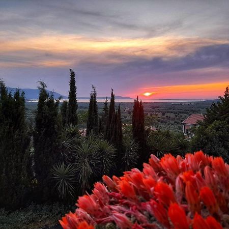 Casa Vacanza Gargano Carpino Eksteriør bilde