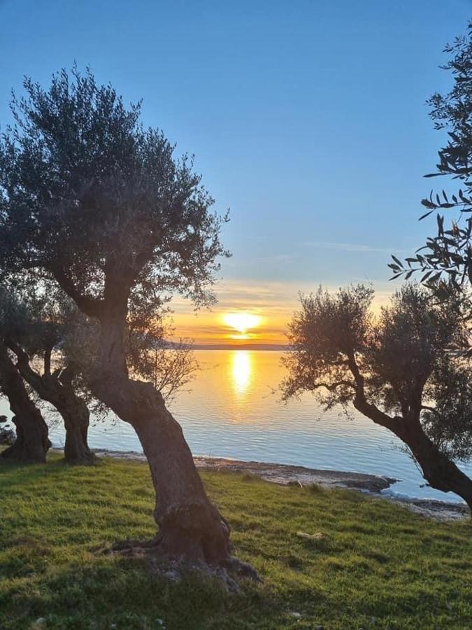 Casa Vacanza Gargano Carpino Eksteriør bilde